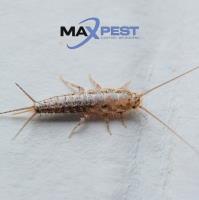 MAX Pest Control Werribee image 1